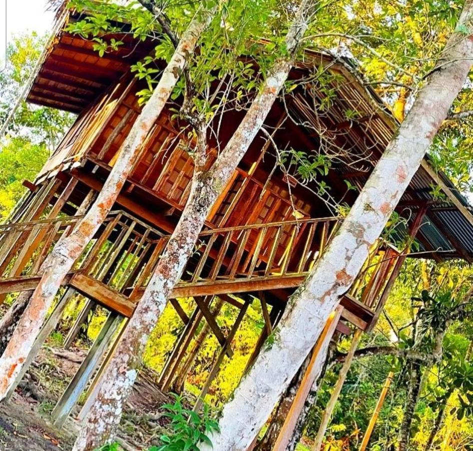 Hotel Karupa Amazonas เลติเซีย ภายนอก รูปภาพ