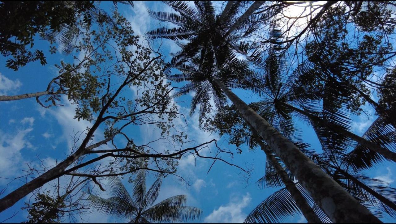 Hotel Karupa Amazonas เลติเซีย ภายนอก รูปภาพ
