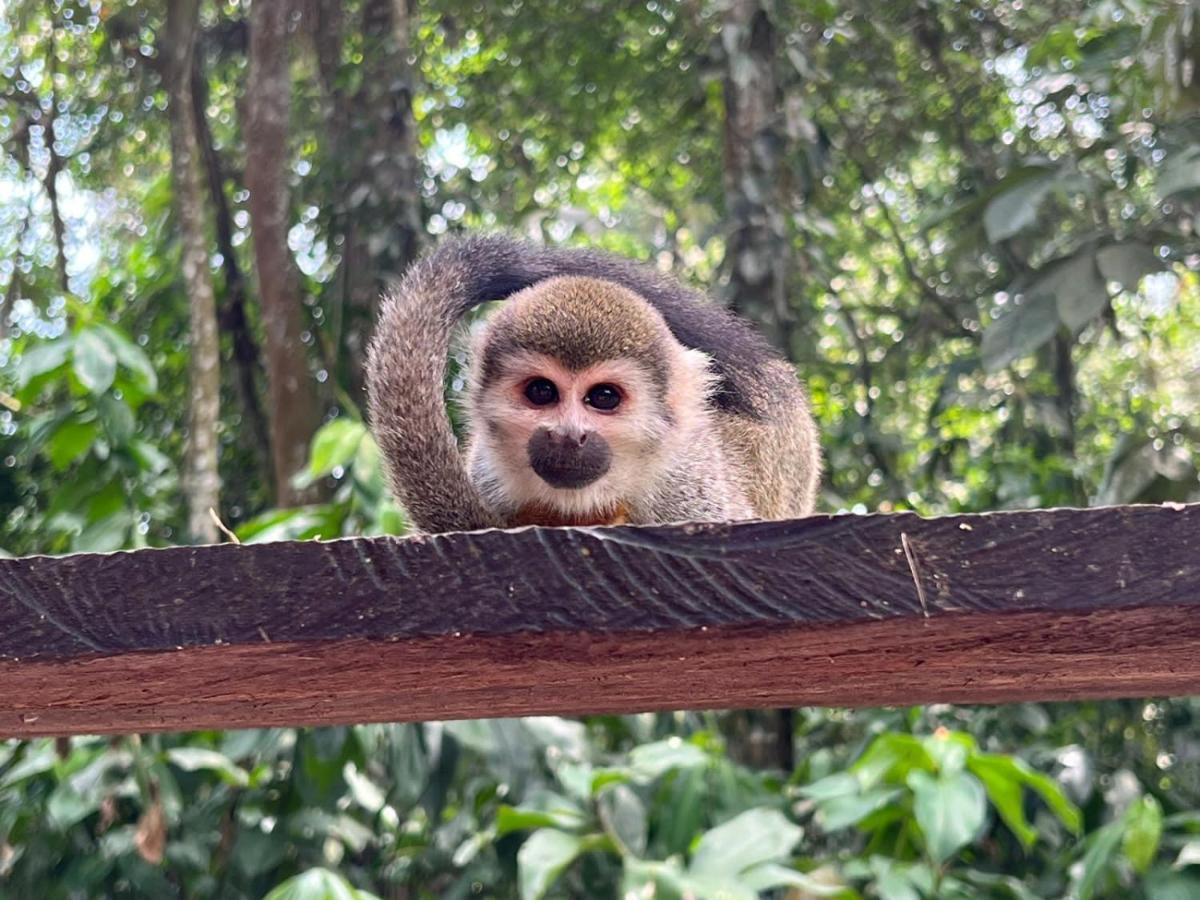 Hotel Karupa Amazonas เลติเซีย ภายนอก รูปภาพ